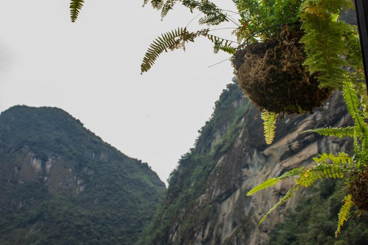 ماتْشّوبيكتْشو Runas Inn Machupicchu المظهر الخارجي الصورة