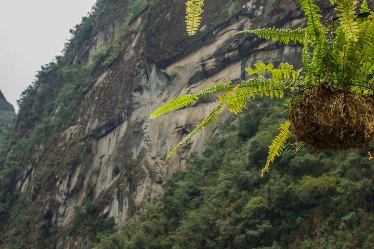 ماتْشّوبيكتْشو Runas Inn Machupicchu المظهر الخارجي الصورة